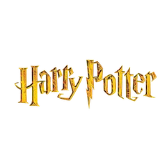 Casquette et accessoires Harry Potter